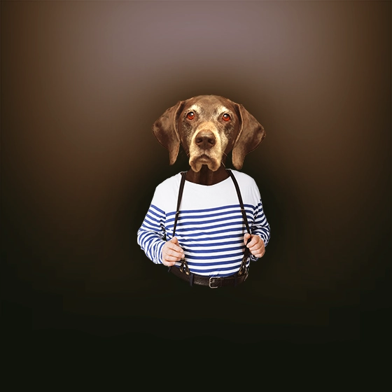 Personnage hybride (photomontage) composé pour la sélection régionale des troupes de théâtre au festival d'Avignon 2015.