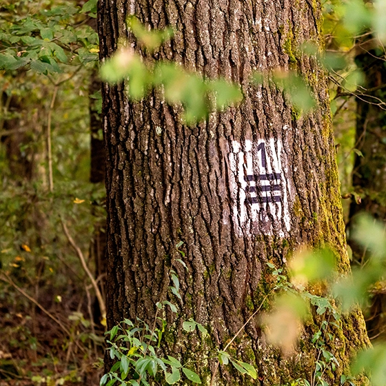 Signalétique nature La Clairière inspirée des balisages de sentiers de randonnée